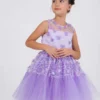 Pink Princess Dress : Ages 2-9