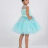Pink Princess Dress : Ages 2-9