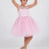 Pink Princess Dress : Ages 2-9