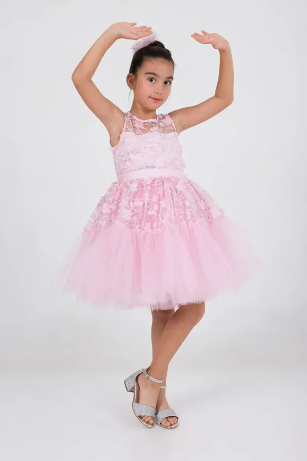 Pink Princess Dress : Ages 2-9