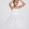 Pink Princess Dress : Ages 2-9