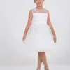 Pink Princess Dress : Ages 2-9